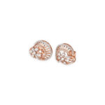 DIAMOND TOPS EVERGREEN