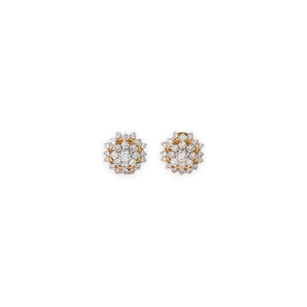DIAMOND TOPS EVERGREEN