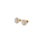 DIAMOND TOPS EVERGREEN