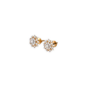 DIAMOND TOPS EVERGREEN