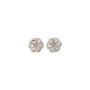 DIAMOND TOPS EVERGREEN