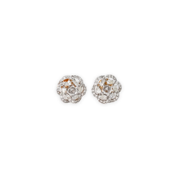 DIAMOND TOPS EVERGREEN