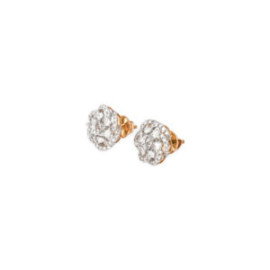 DIAMOND TOPS EVERGREEN