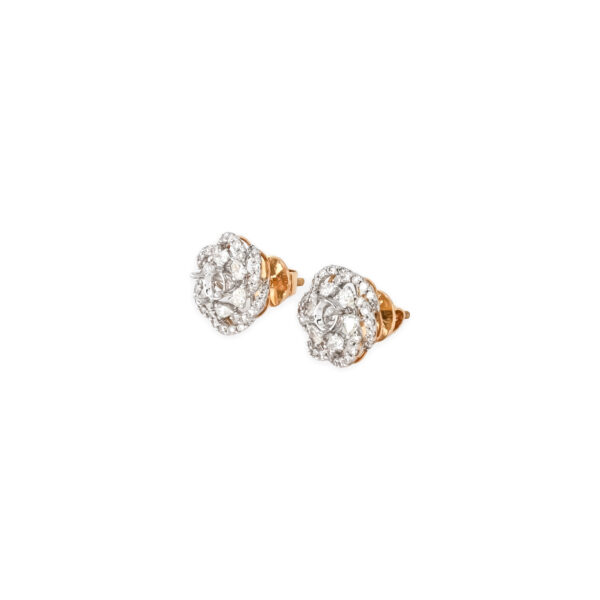 DIAMOND TOPS EVERGREEN