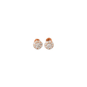 DIAMOND TOPS EVERGREEN