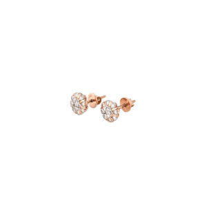 DIAMOND TOPS EVERGREEN