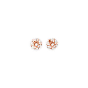 DIAMOND TOPS EVERGREEN