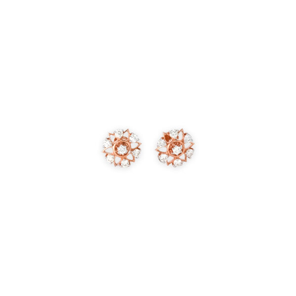 DIAMOND TOPS EVERGREEN