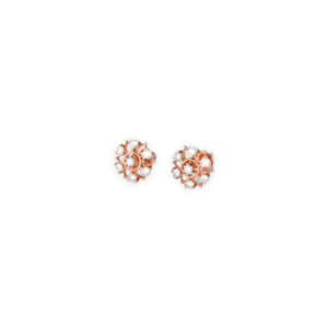 DIAMOND TOPS EVERGREEN