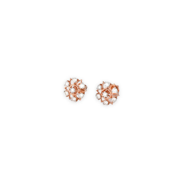 DIAMOND TOPS EVERGREEN