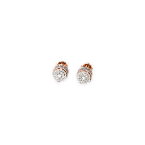 DIAMOND TOPS EVERGREEN