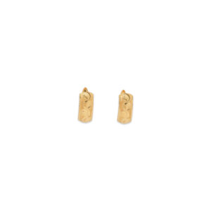 Elegant Gold Hoop Earrings