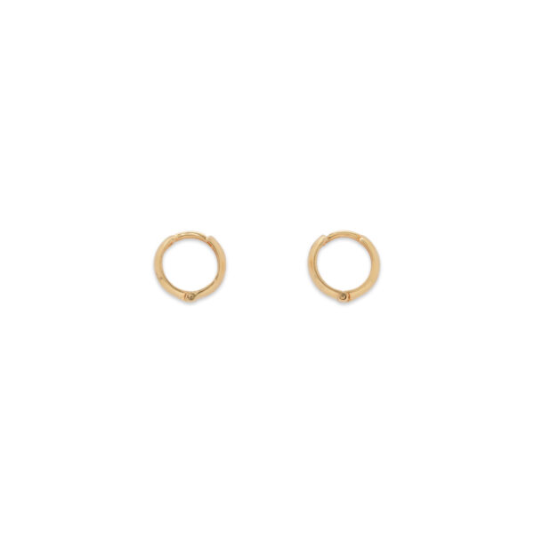 Elegant Gold Hoop Earrings