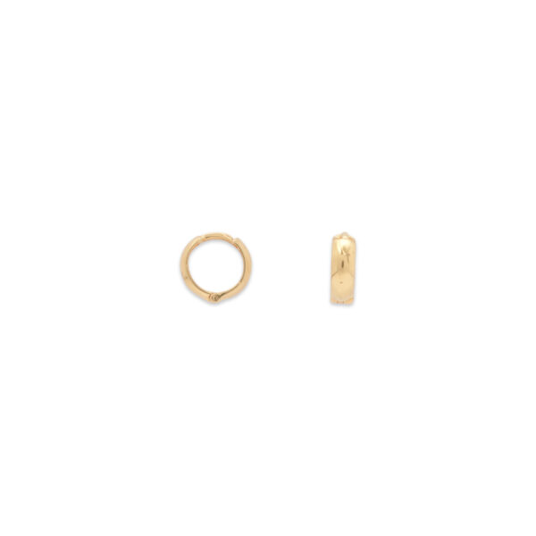 Elegant Gold Hoop Earrings