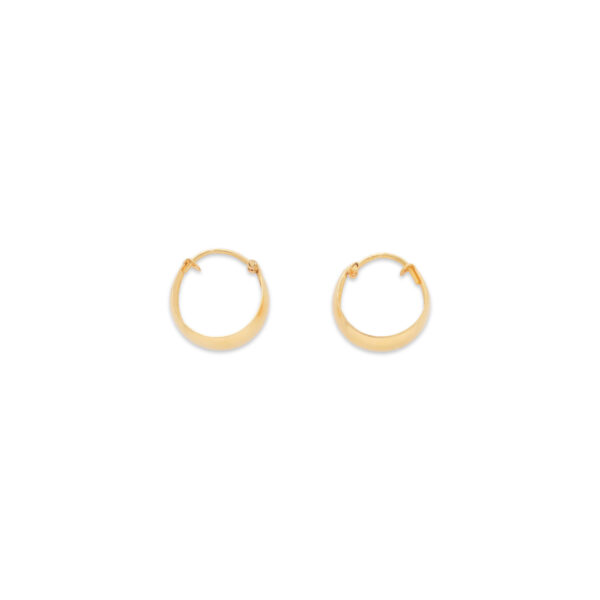 Elegant Gold Hoop Earrings