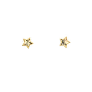 Radiant Gold Star Stud Earrings
