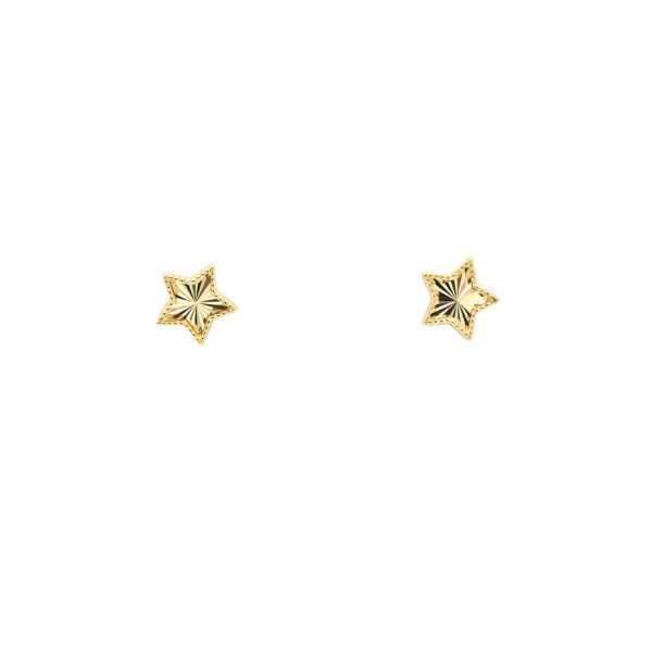 Radiant Gold Star Stud Earrings